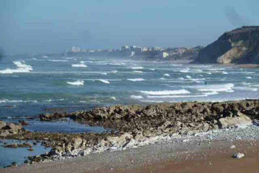 Bidart Cote Basque T3 250 Metres De La Plage 3***アパートメント エクステリア 写真